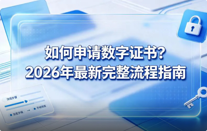 如何申请书证书？2026年最新完整流程指南